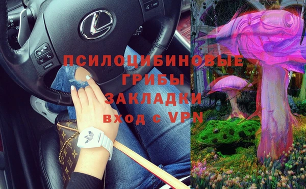 мет Новозыбков