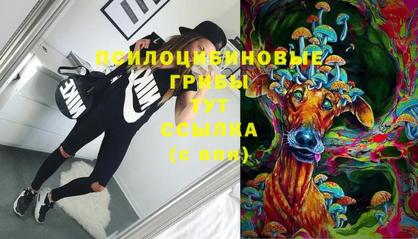метадон Алексин