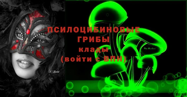 метадон Алексин
