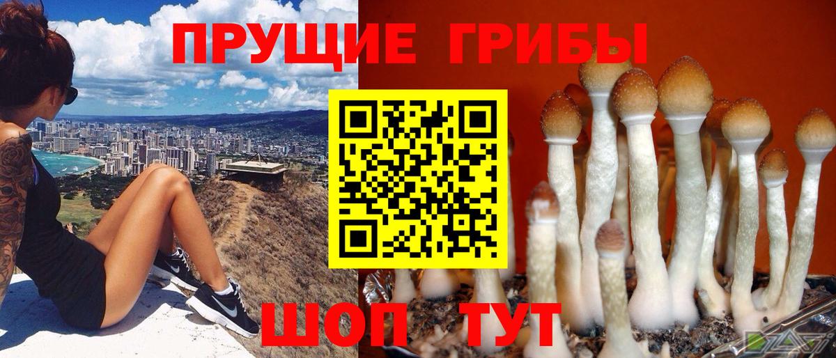 Галлюциногенные грибы MAGIC MUSHROOMS Минусинск